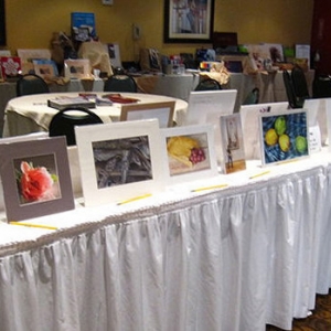 Silent Auction Exhibit